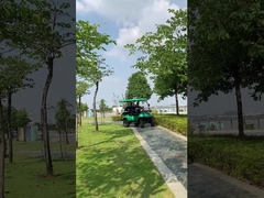 چرخ دستی گلف برقی